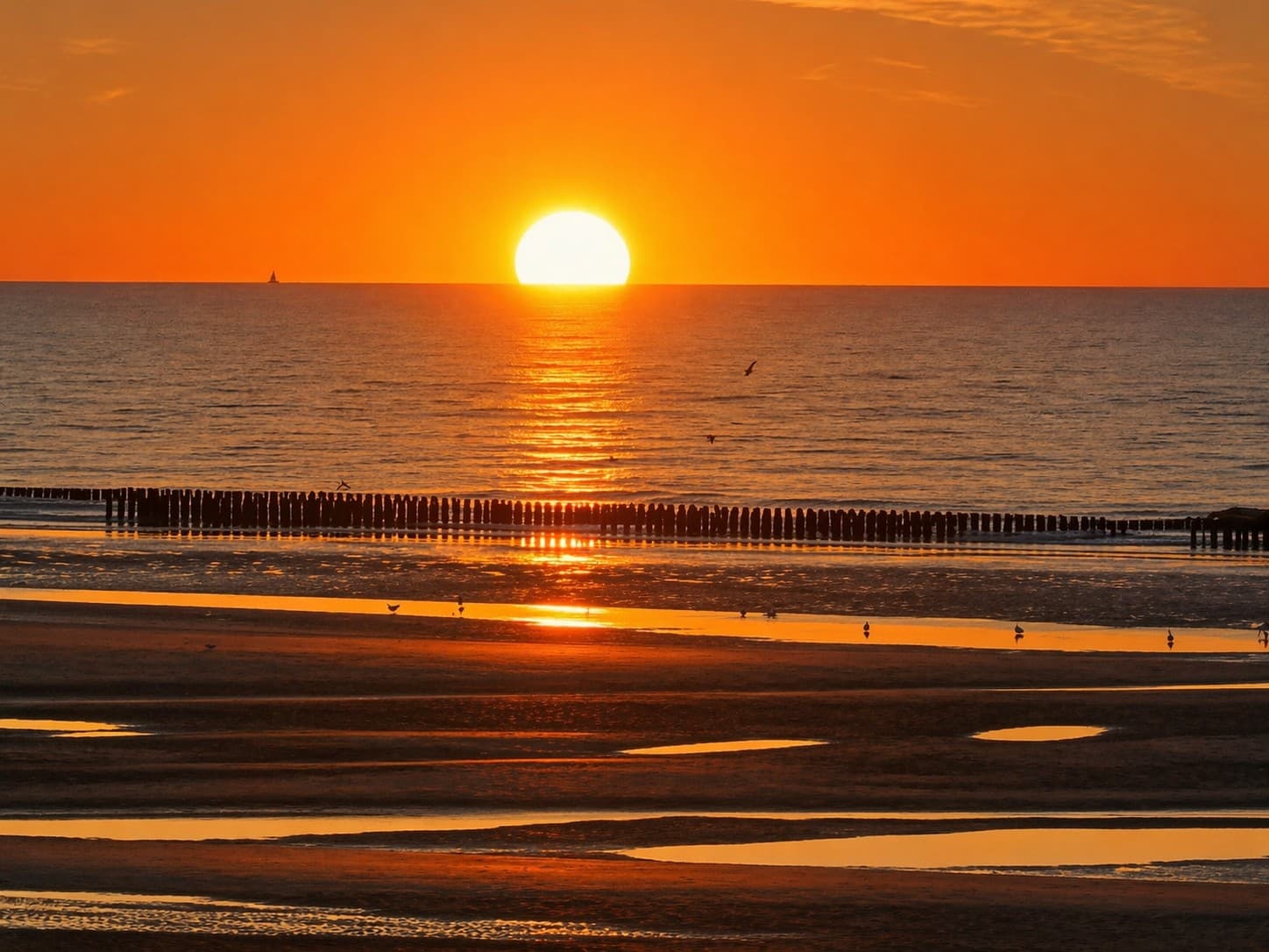 Coucher de soleil rouge intense sur la mer en Baie de Somme